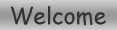 Welcome Navigation